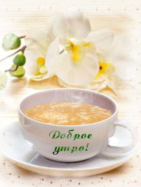 Доброе утро среда цветы