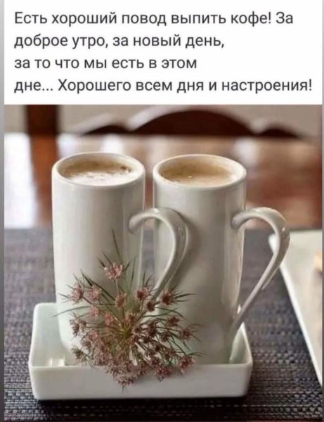 Доброе летнее утро