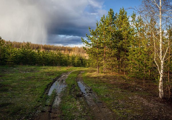 Весна дождь холод