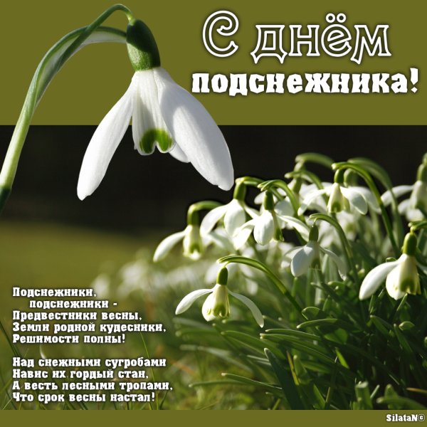 19 Апреля день подснежника