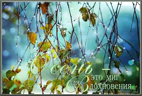 Весеннего настроения подснежники