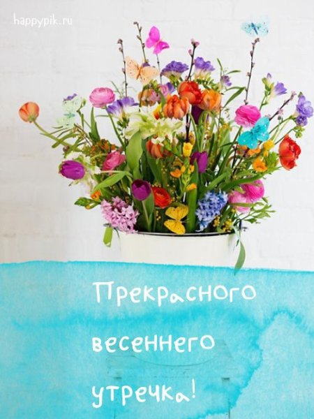 Доброе Весеннее утро