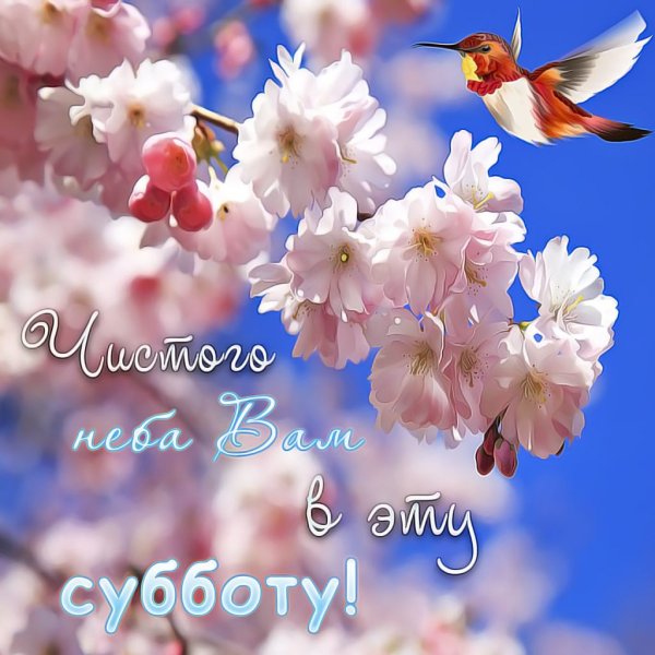 Поздравления с добрым весенним утром
