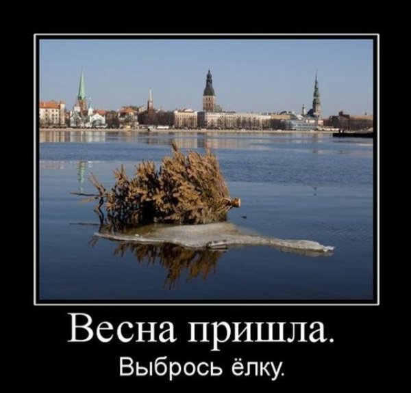 Анекдоты про весну