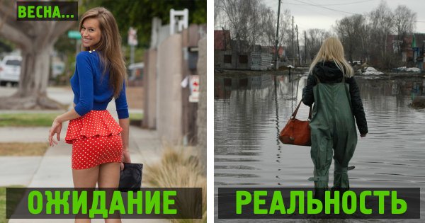 Животные радуются снегу