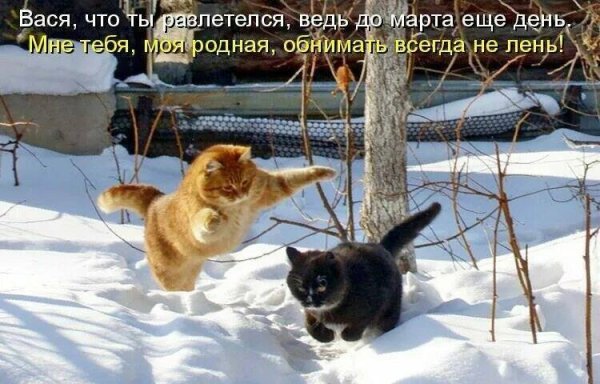 Открытка где Весна