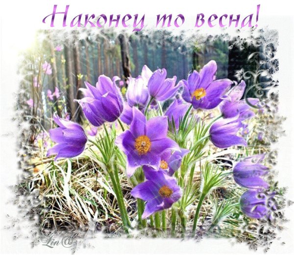 Мемы про весну