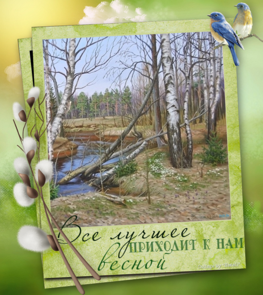Коллаж Весна в коробке