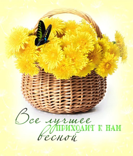 Доброго денечка Весна