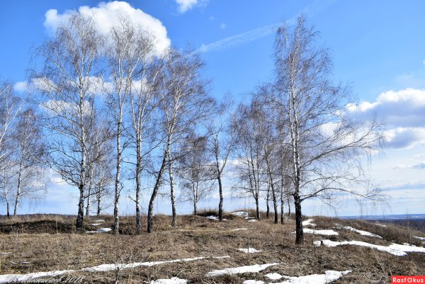 Апрель середина весны