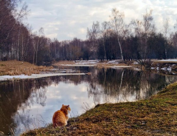 Природа Весна апрель