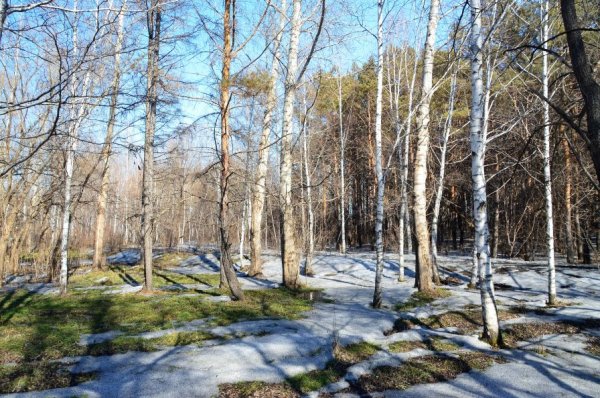 Апрель в Сибири
