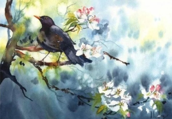 Птички в марте