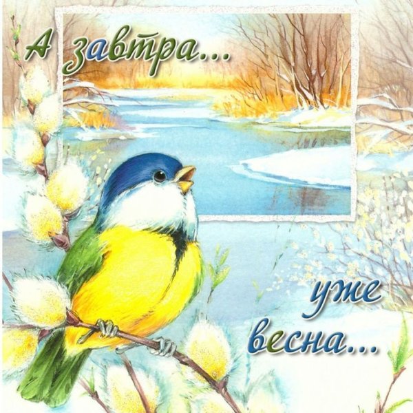 Лазоревка Верба Весна