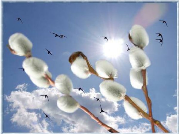 Ранняя Весна птицы