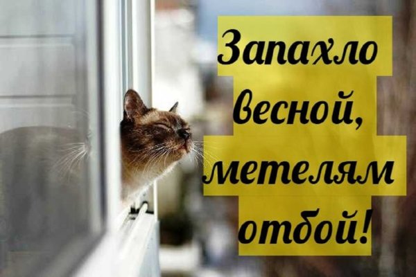 Запахло весной