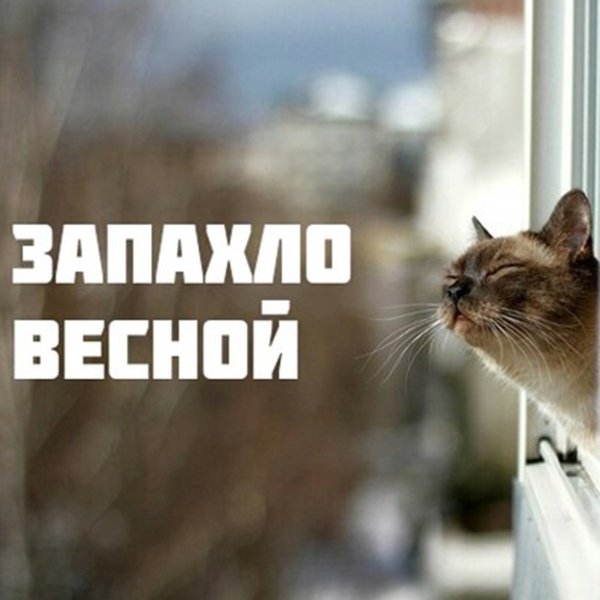 Пахнет весной