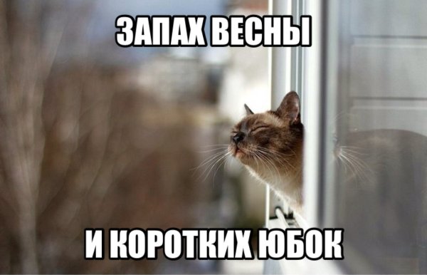 Чувствуете весной пахнет