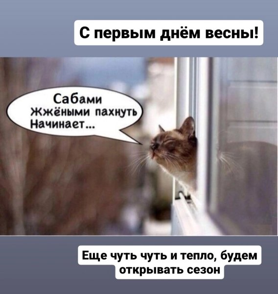 Доброе утро пахнет весной