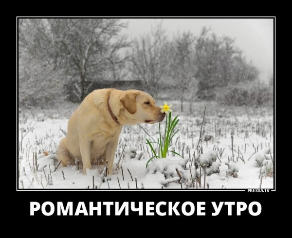 Запахло весной