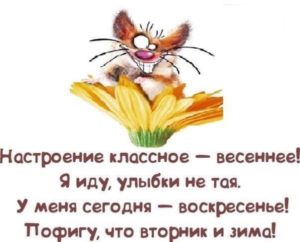 Настроение классное Весеннее я иду улыбки