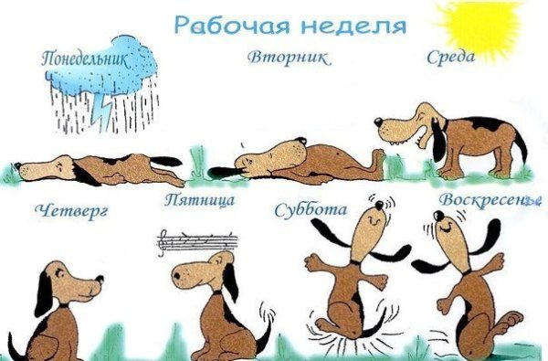 Рабочая неделя