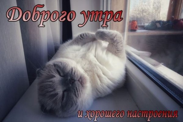 С добрым утром с котятами с надписями
