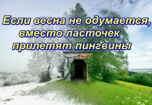 Зиму перезимовали осталось перезимовать весну прикольные