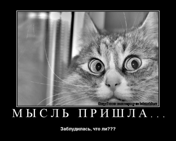 Кто пережил 3 месяца зимы