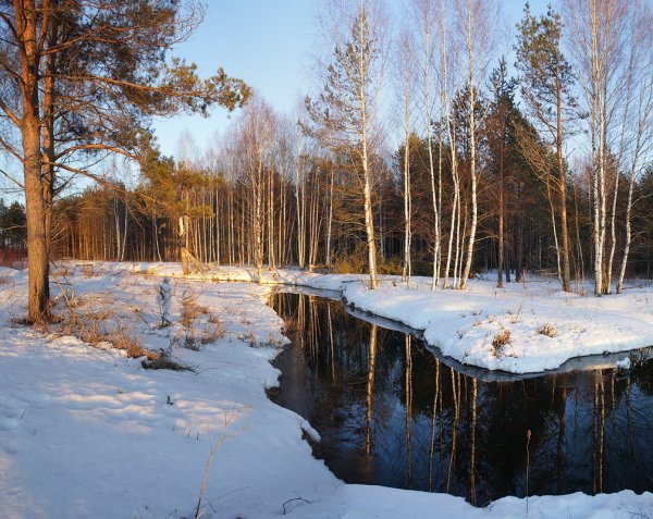 Весенний пейзаж