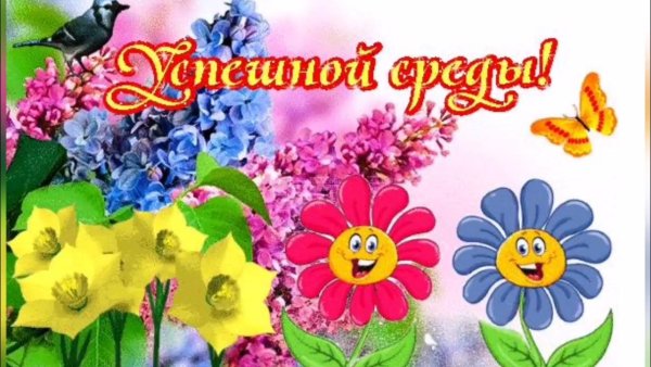 Красивые поздравления со средой