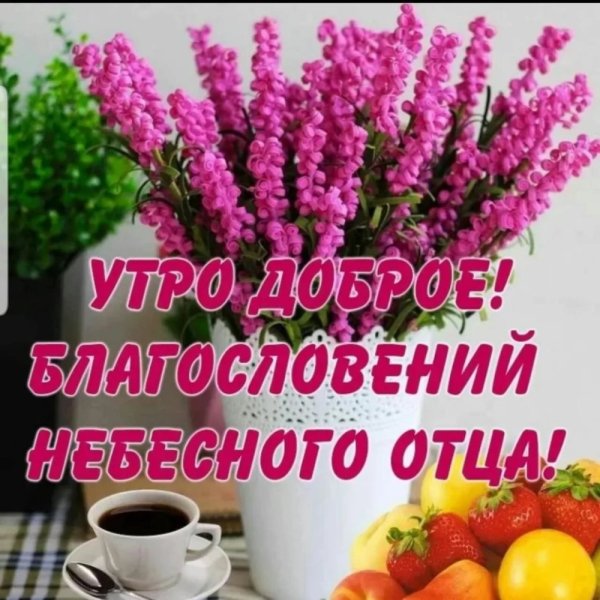 Поздравление со средой и добрым утром