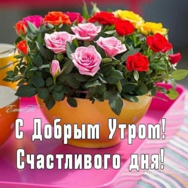 Доброе утро с птицами