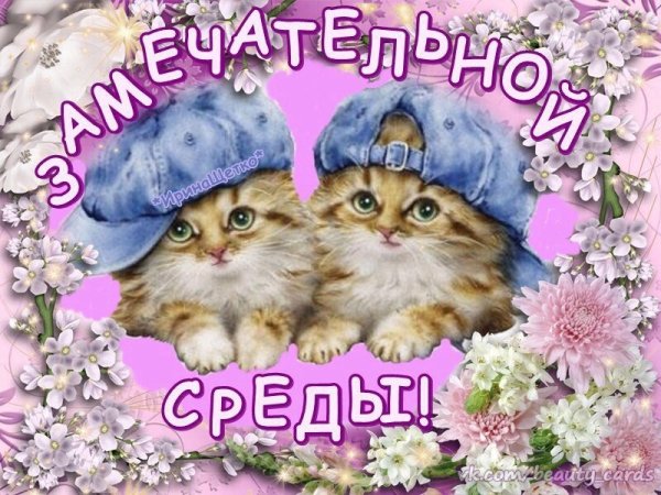 Солнечного весеннего утра с надписями