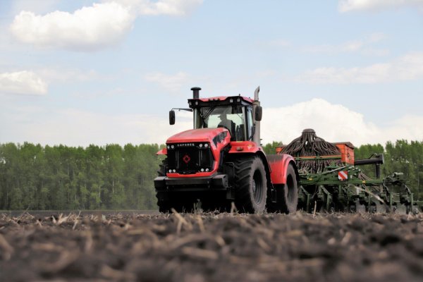 Весенняя страда старшая группа