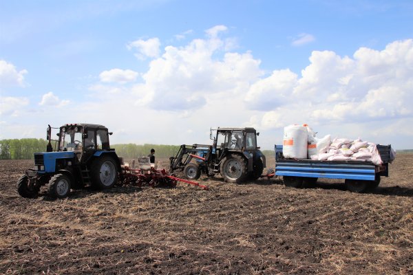 Сельское хозяйство