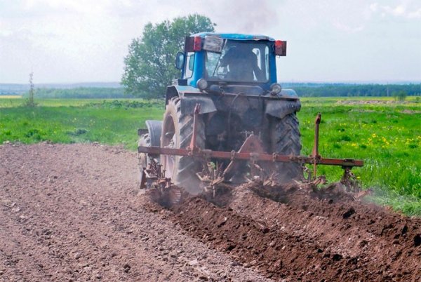 Весенние сельскохозяйственные работы