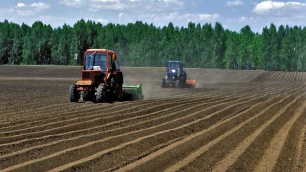 Сельскохозяйственные работы весной