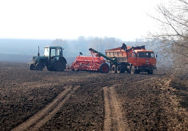Сельское хозяйство посевная