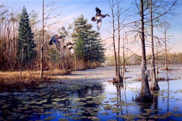 Птенцы в гнезде для детей