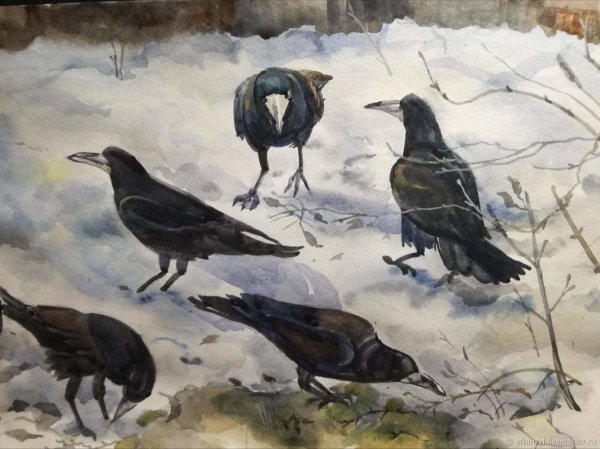 Травка зеленеет солнышко блестит Ласточка