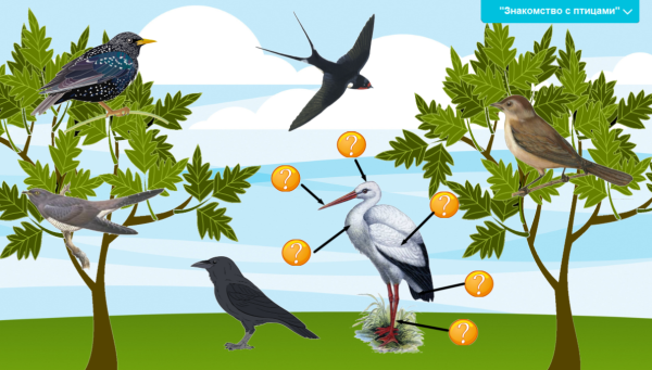 Дети вешают скворечник