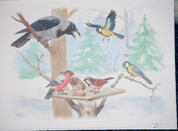 Лес весной для дошкольников