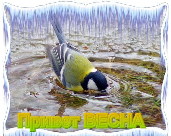 Весна идёт весне дорогу