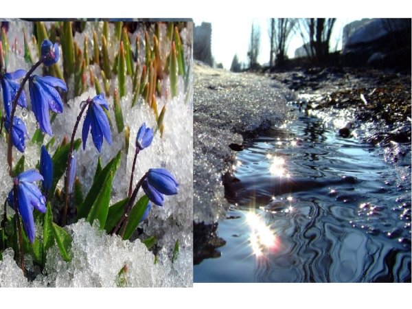 Весна идёт весне дорогу