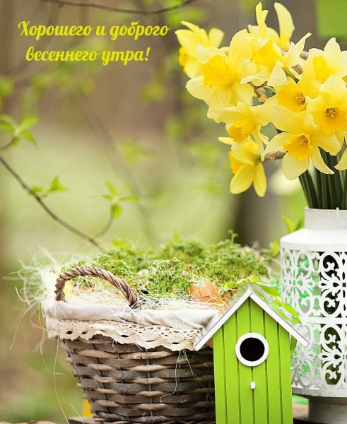 Кофе и цветы стильно