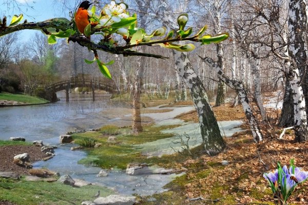 Природа навстречу весне