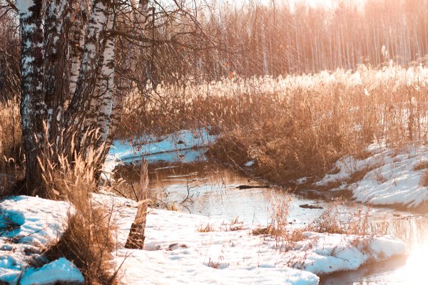 Весна пришла весне дорогу