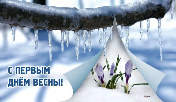 Медведь проснулся