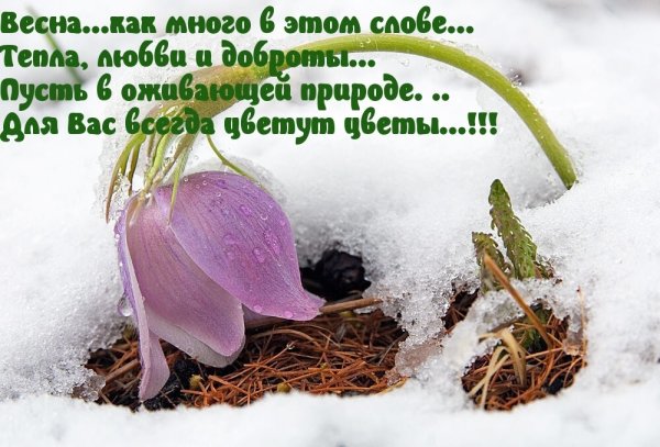 Зима пришла